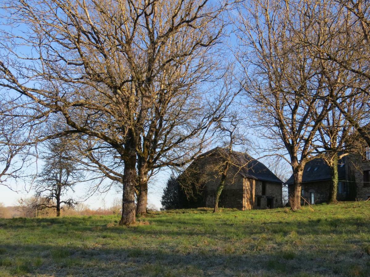 Domaine de la Clauzade Saint-Germain-les-Vergnes Exterior foto